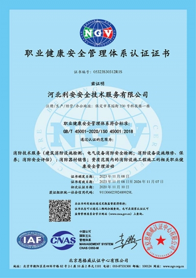 職業(yè)健康體系證書